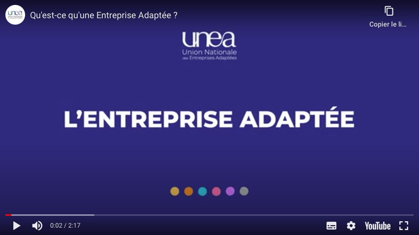 Video-entreprise-adaptée